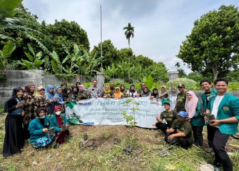 PUSKIIBI UMSU LAKUKAN PENANAMAN KELOR DI DESA BANDAR LABUHAN