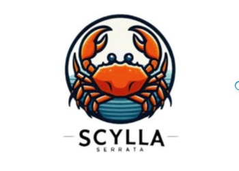 Scylla Serrata Menggunakan Sistem Apartemen untuk Budidaya Kepiting